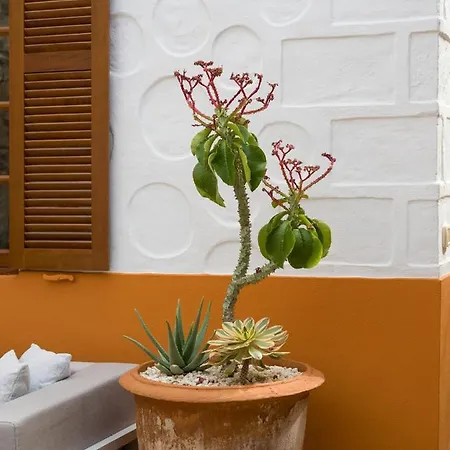 Beautiful House In Traditional Canarian Style Сasa de vacaciones *